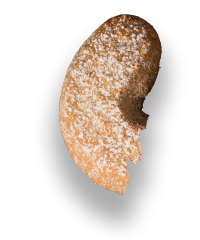 Polovica piškota